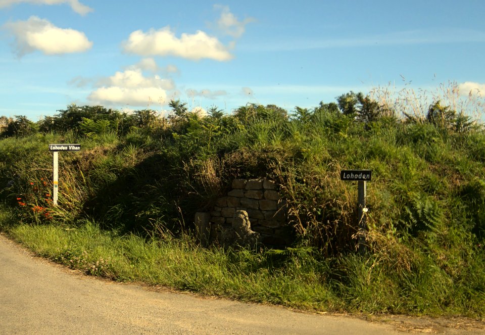 Lohoden cross