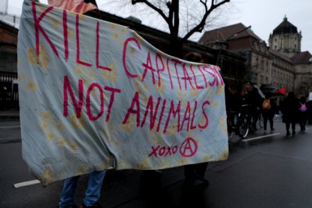 Lockdown Capitalism demonstration Berlin 2021-01-23 46