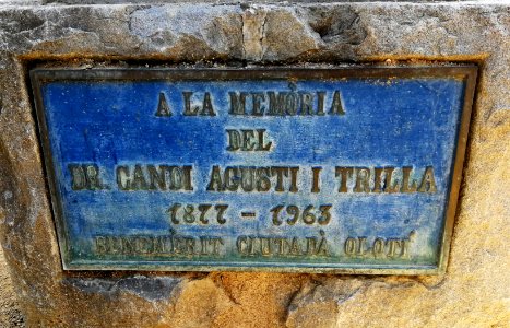 Lluis Curos Dr Augusti 099
