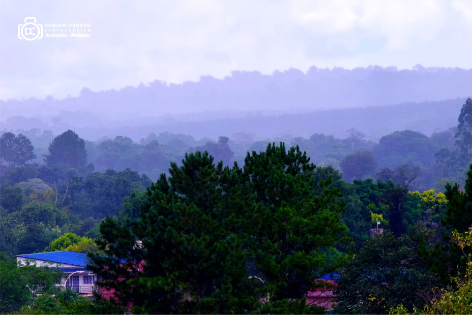 Llueve En La Selva (186385357)