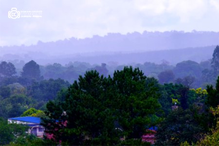 Llueve En La Selva (186385357)