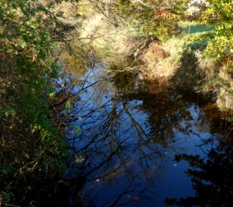 Loantaka Way view of stream with reflections of trees early autumn