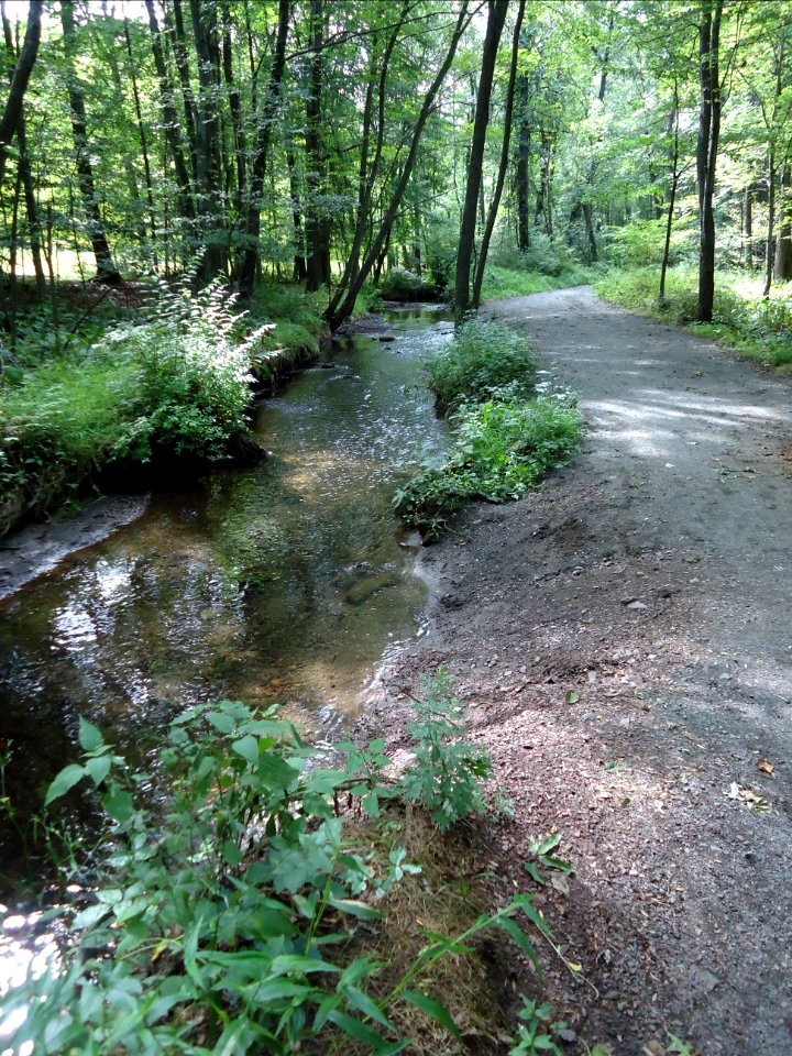 Loantaka Brook Reservation bikeway horse trail and stream