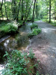 Loantaka Brook Reservation bikeway horse trail and stream