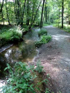 Loantaka Brook Reservation bikeway horse trail and stream photo