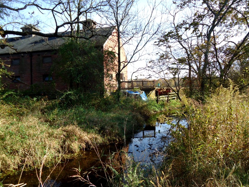 Loantaka Way view of horse barn and stream