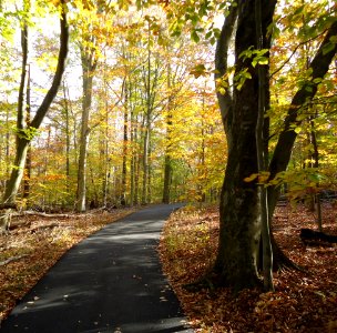 Loantaka Way NJ bike trail through woods early autumn 2