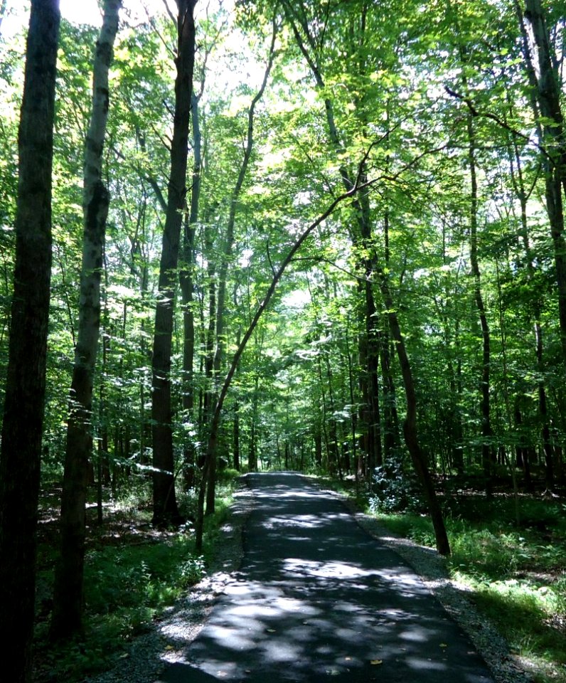 Loantaka Brook Reservation bikeway pathway through woods