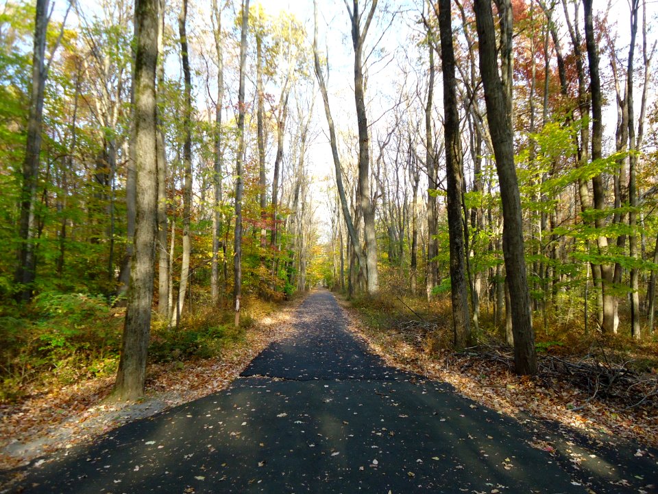 Loantaka Way NJ straight pathway for bikers or hikers