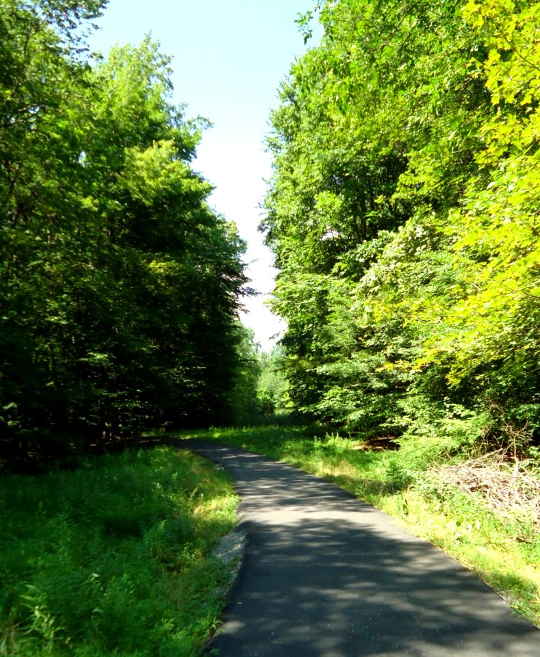 Loantaka Brook Reservation bikeway pathway curving into woods