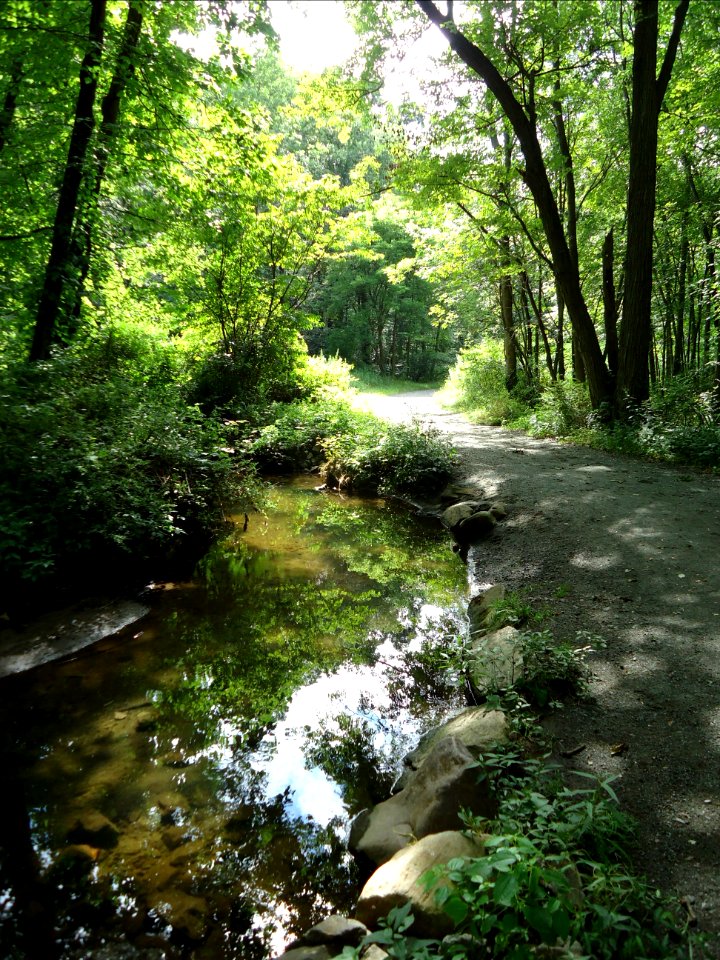 Loantaka Brook Reservation bikeway horse path and stream and reflections