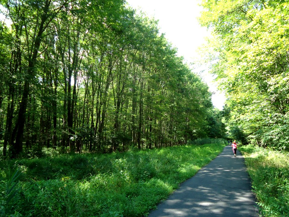 Loantaka Brook Reservation bikeway pathway with joggers