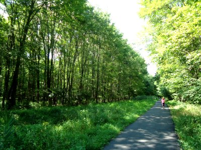 Loantaka Brook Reservation bikeway pathway with joggers