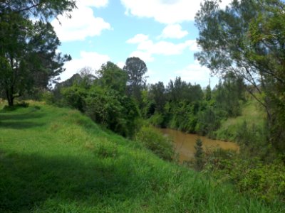 Logan River downstream at Woodhill, Queensland photo