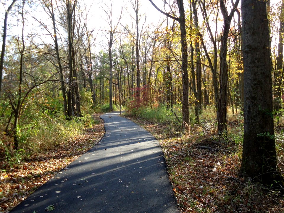 Loantaka Way NJ bike trail through woods early autumn