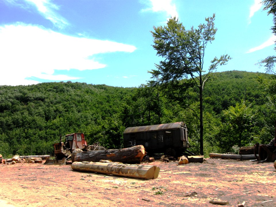Logging in the Mehedinţi Mts