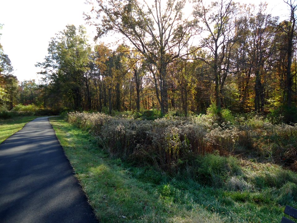 Loantaka Way NJ bike trail with trees early autumn