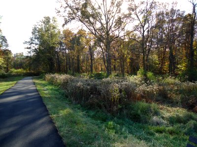 Loantaka Way NJ bike trail with trees early autumn