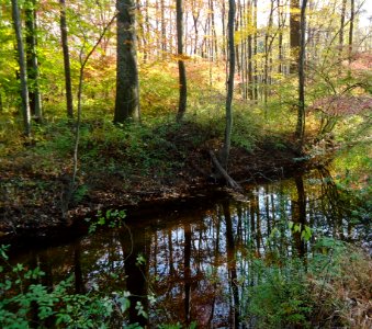 Loantaka Way NJ stream with reflections early autumn