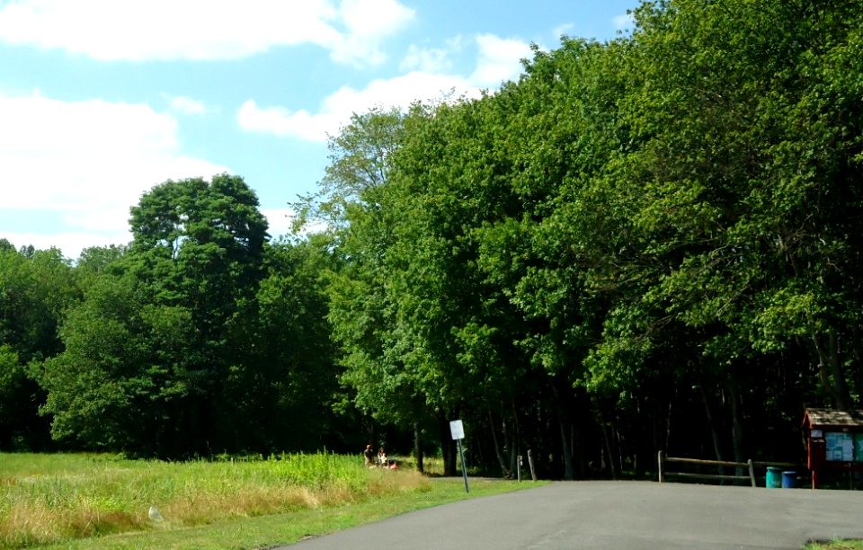 Loantaka Brook Reservation bikeway parking area and pathway to woods