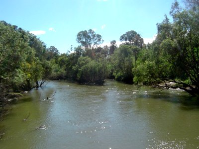 Logan River 1