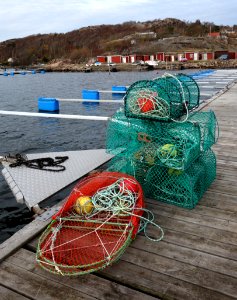 Lobster cages in Holländaröd harbor
