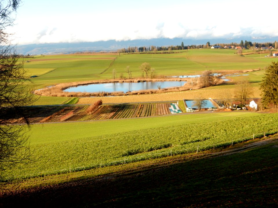 Lobsigensee von Süden