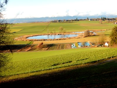 Lobsigensee von Süden photo