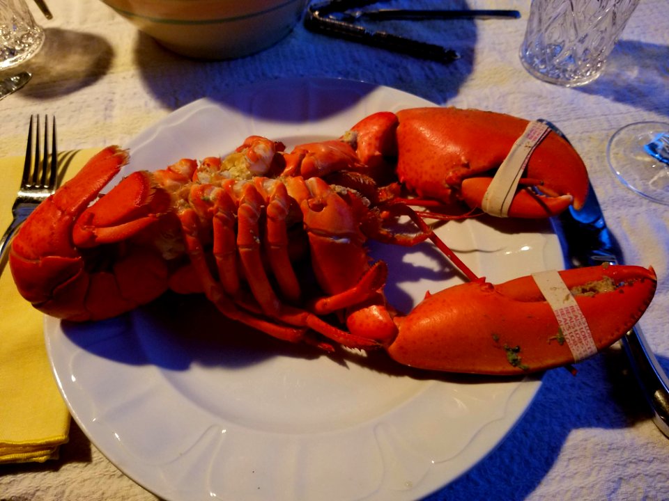 Lobster - Great Cranberry Island, Maine - 20180721 203105