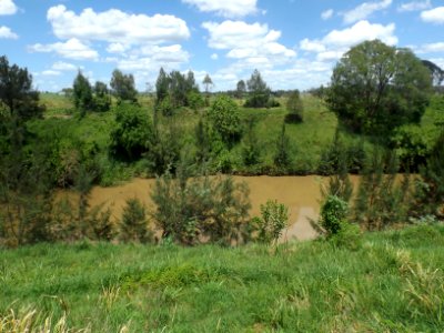 Logan River at Woodhill, Queensland photo