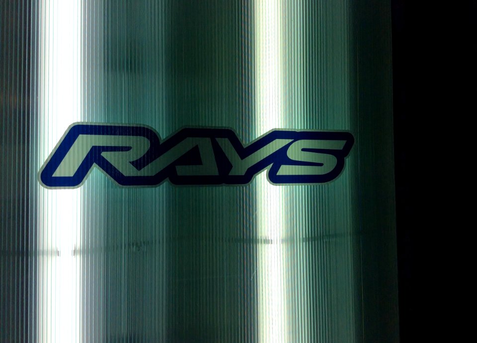 Logo of RAYS Co., Ltd