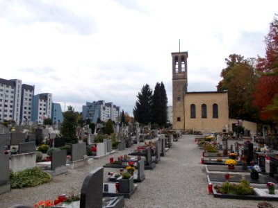 Ločna Cemetery 11