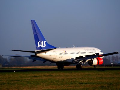 LN-RRZ, Boeing 737-683 Scandinavian Airlines (SAS) , AMS Amsterdam (Schiphol), pic4