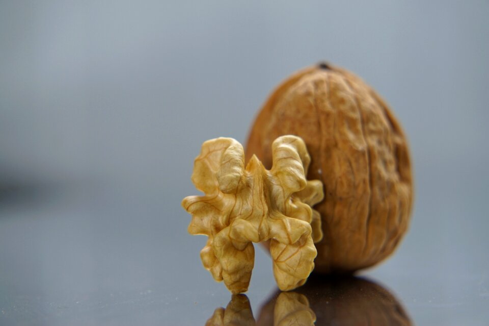 Dry fruit food nature