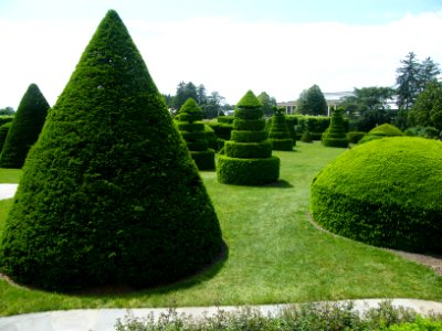 Longwood Gardens Topiary 2