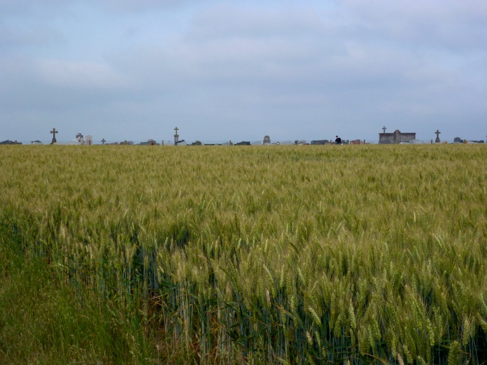 Longhem (Pas-de-Calais, Fr) vue du cimetière