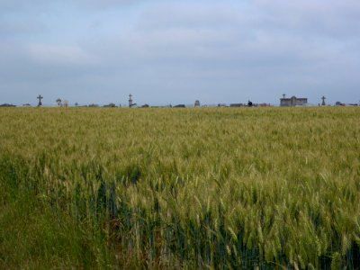 Longhem (Pas-de-Calais, Fr) vue du cimetière