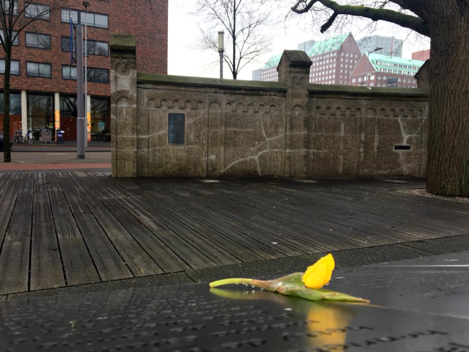 Loods memorial Rotterdam 36
