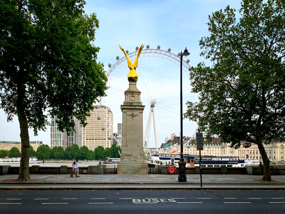 London Eye from Victoria Embankment