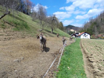 Lončarjev Dol 06