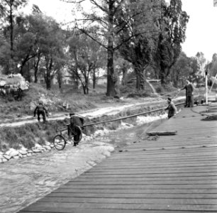 Loods hangt met zijn fiets boven de Rijn aan de zwaaiboom van de Damco 230, Bestanddeelnr 254-1577