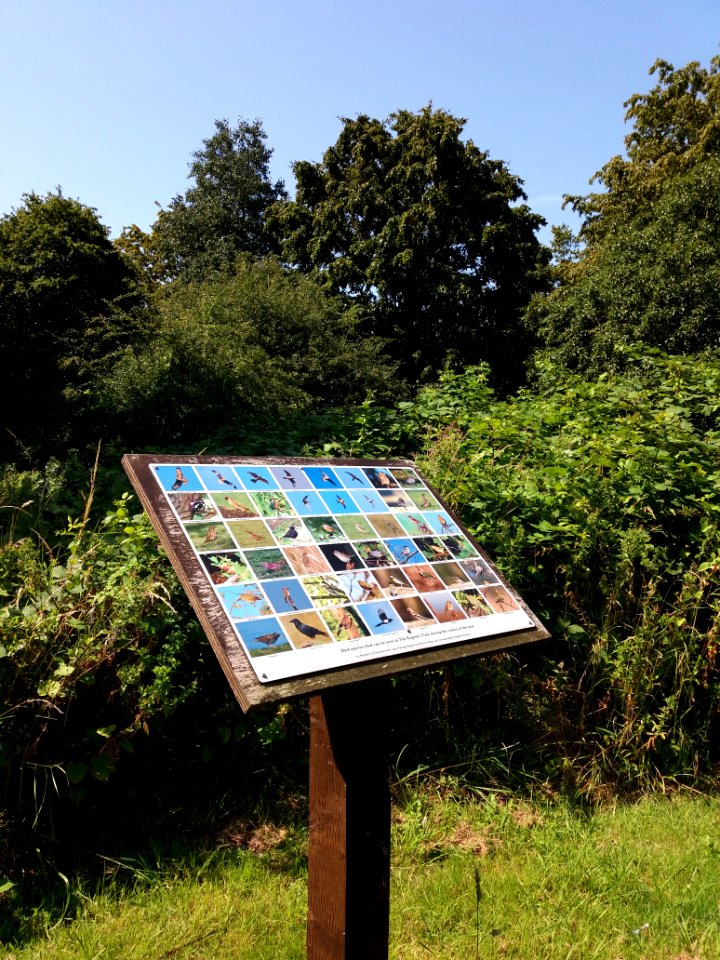 London - Regent's Park, bird species sign
