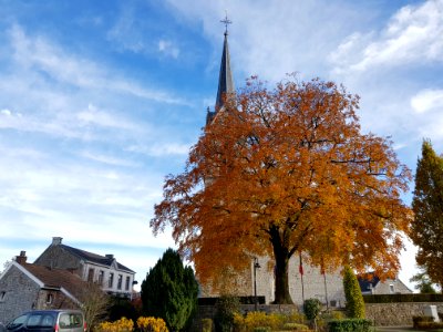 Lontzen-Walhorn-Sint-Stephanuskerk (10)