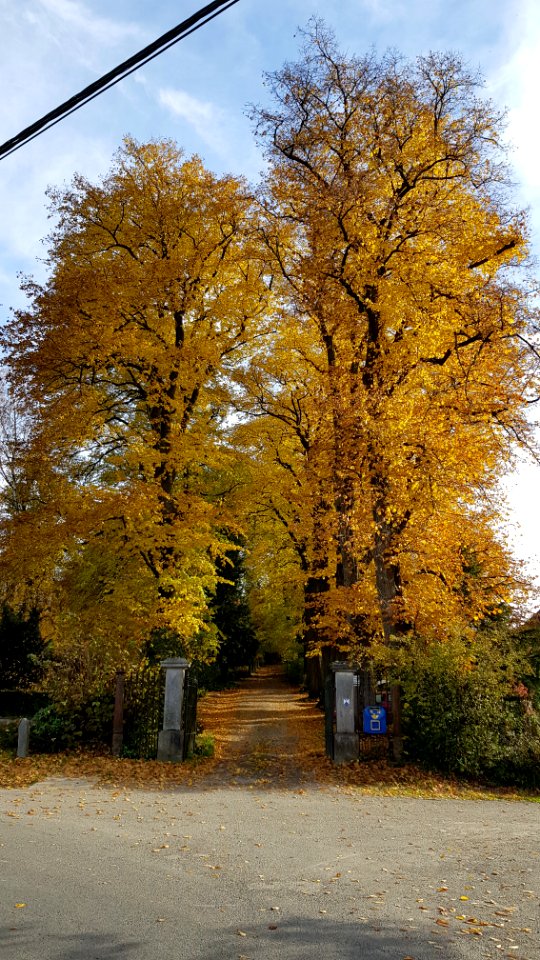 Lontzen-Schloss Lontzen (9)
