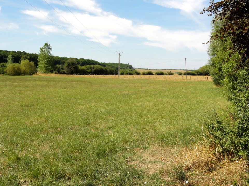 Loison (Meuse) paysage