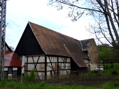 Loitsch 4