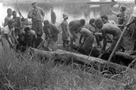Lokale werkkrachten worden ingezet bij het tillen van boomstammen, Bestanddeelnr 348-3-4