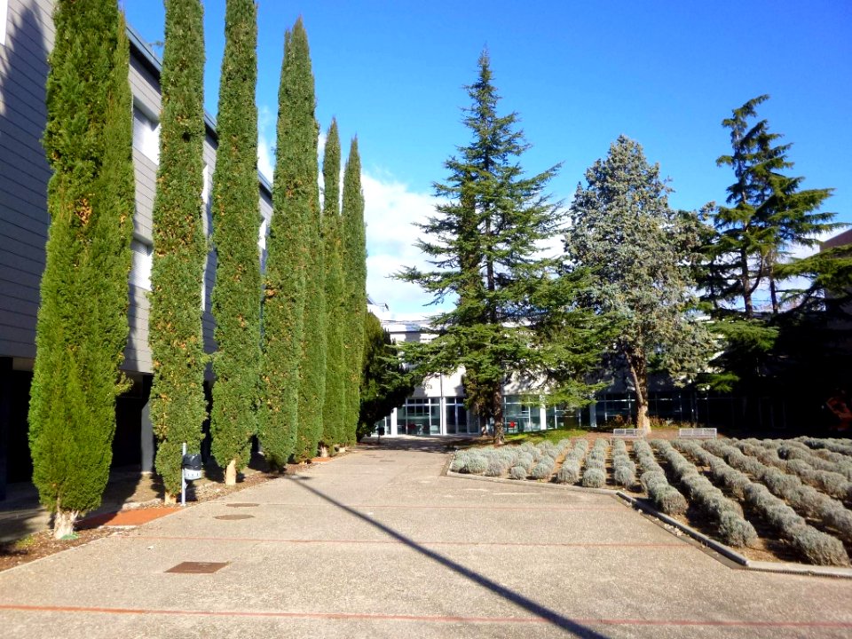 Logroño - Universidad de La Rioja, Escuela Técnica Superior de Ingeniería Industrial (ETSII) 3
