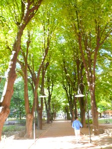 Logroño - Parque del Carmen 04