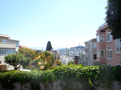 Lombard Street from the top of the street photo